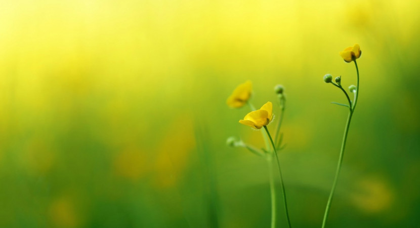 Kennisfestival Zingeving 2024: Perspectief