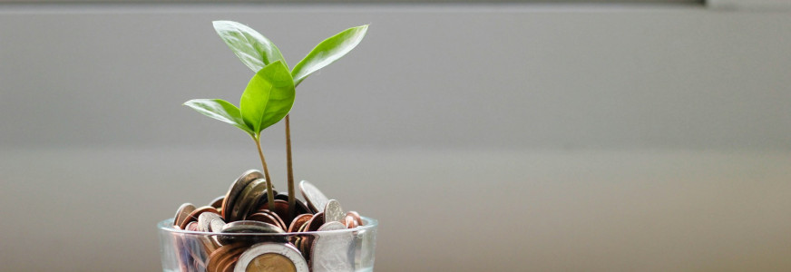 Vraag uit de Kennisagenda GV Thuis: financiële bronnen