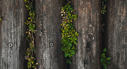 Verdiepingsmodule dementie en zingeving