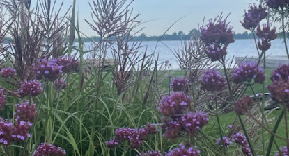 Week van de Palliatieve Zorg - 4 t/m 11 oktober 2025