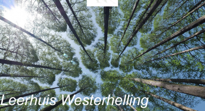 Retraitedag: Stille Dag