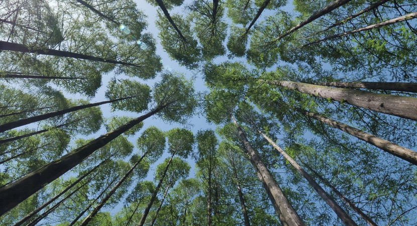 Retraitedag: Stille Dag