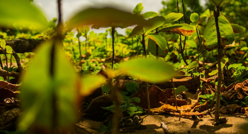 Save the date: online Kenniscafé GV Thuis