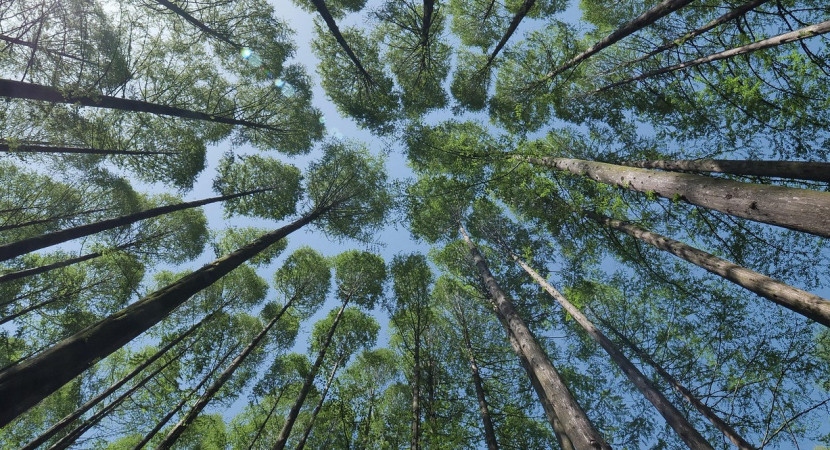 Retraitedag: Stille Dag