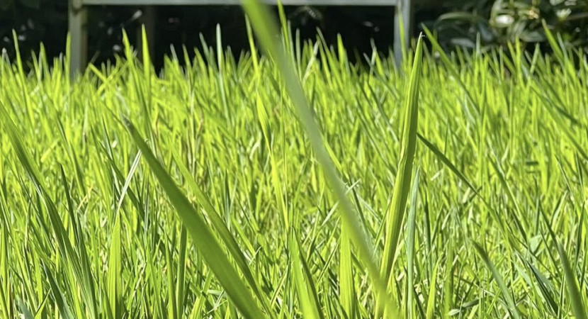 Rituelen in tijden van overgang (Relief Winteracademie)