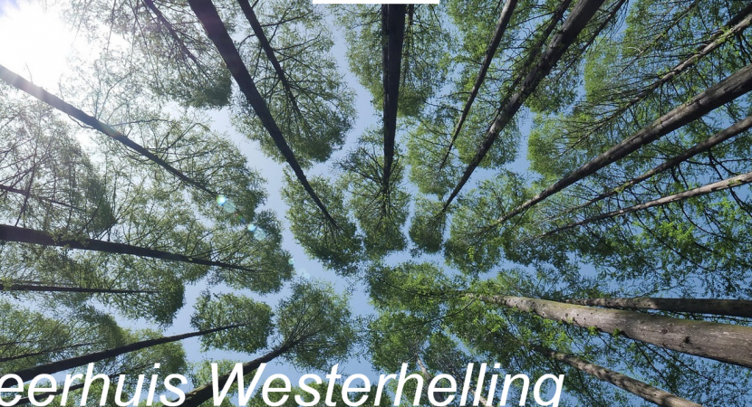 Retraitedag: Stille Dag