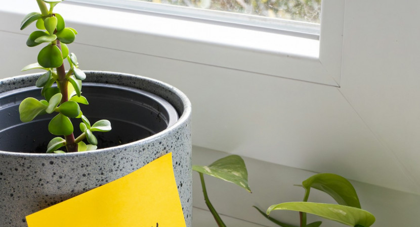 Webinar "Kennismaken met de NUGV – Nederlandse Uitkomstmaat Geestelijke Verzorging"