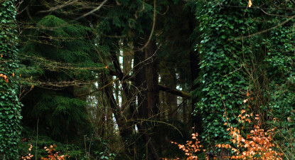 Henri Nouwen retraite